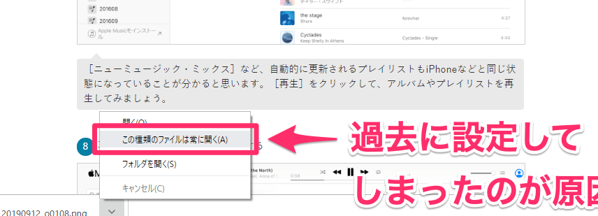 Chromeで画像やPDFの自動開きを簡単に防ぐ設定方法を解説 1 chromee381a7e794bbe5838fe38284pdfe381aee887aae58b95e9968be3818de38292e7b0a1e58d98e381abe998b2e38190e8a8ade5ae9ae696b9e6b395e38292e8a7a3