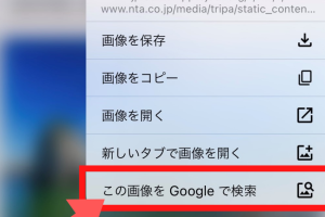 Google画像検索で条件を指定して効率的に探す方法
