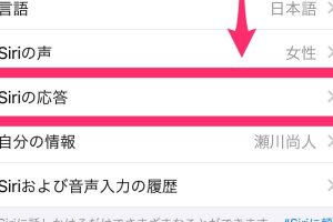 iPhoneでSiriを使ってWeb検索を簡単にコンパクトにする方法を解説