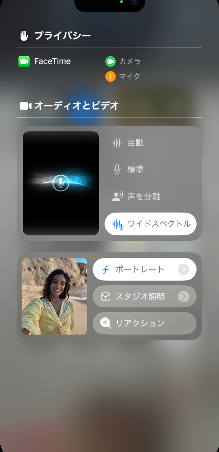 iPhoneのFaceTimeでカメラを簡単に切り替える方法を解説 1 iphonee381aefacetimee381a7e382abe383a1e383a9e38292e7b0a1e58d98e381abe58887e3828ae69bbfe38188e3828be696b9e6b395e38292e8a7a3e8aaac